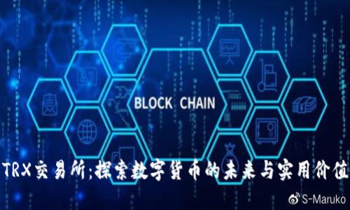 TRX交易所:探索数字货币的未来与实用价值