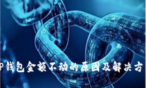TP钱包金额不动的原因及解决方法