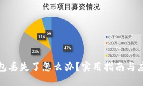 TP冷钱包丢失了怎么办？实用指南与应对策略