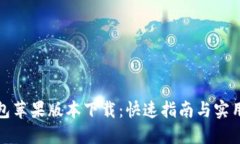 TP钱包苹果版本下载：快速指南与实用技巧