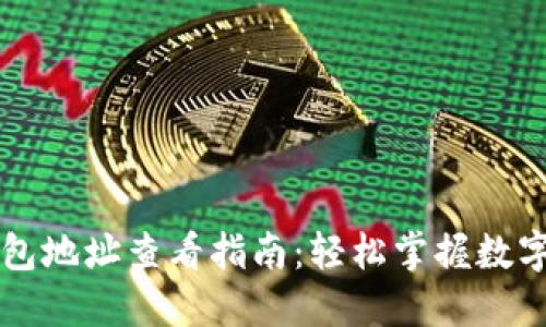 虚拟币钱包地址查看指南:轻松掌握数字资产管理