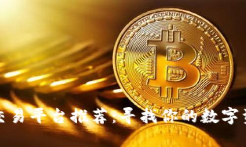 国内虚拟币交易平台推荐:寻找你的数字资产投资圣地