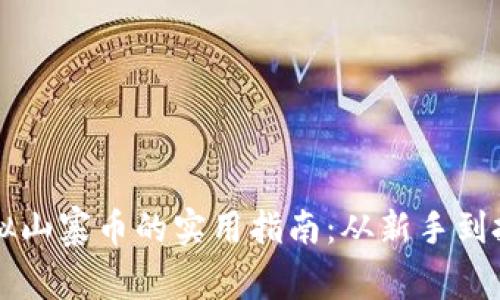 投资虚拟山寨币的实用指南:从新手到投资高手