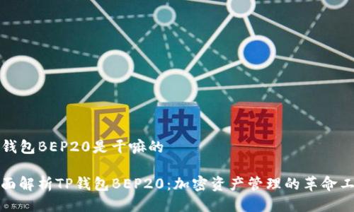 TP钱包BEP20是干嘛的

全面解析TP钱包BEP20：加密资产管理的革命工具